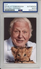 DAVID ATTENBOROUGH SIGNED AUTOGRAPH PLANET EARTH LION PHOTO PICTURE PSA DNA COA