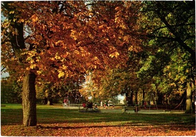 Postcard - The Park, Basingstoke, Hampshire, Great Britain.