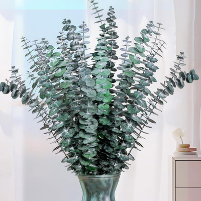 21 Pcs Real Dried Eucalyptus Stems, 17'' Natural Fresh Eucalyptus Branches for Sh