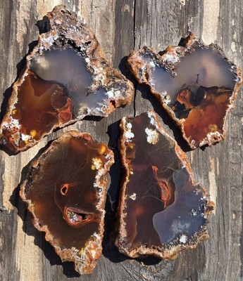 Turkish Agate Slabs Slices From One Stone Matching Lapidary Unique