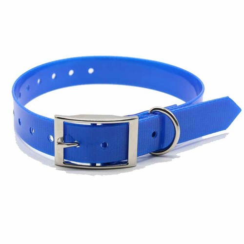 Dog collar (19mm) 3/4" x 20" (50cm) Terrier, Whippet Pup Pig Dog Hound Pet - Picture 11 of 16