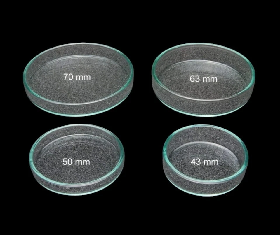 MARKENLOS Aquarien Futterschale Glas Garnelen Krebse Süßwasser