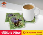 COASTER COFFEE DRINKING MAT|CUTE ADORABLE SQUIRREL RODENT #14