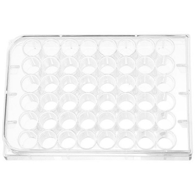 Laboratory Tissue Culture Plate Cell for Clear Petri Dish Science