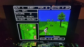 Fighting Golf Nintendo Famicom US SELLER 