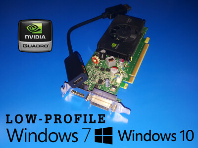HP Pro SFF 3000 3010 3080 3300 Low Profile Video Graphics Card + HDMI Adapter