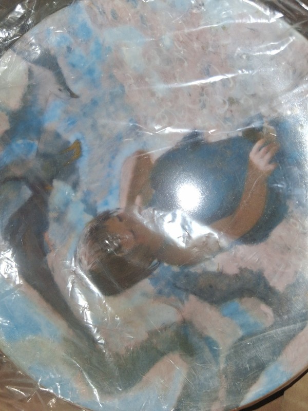 Collectible Plate  " Sea Shells "