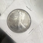 U.S. Mint American Silver Eagle 1991 1 oz 0.999 Fine Silver Coin