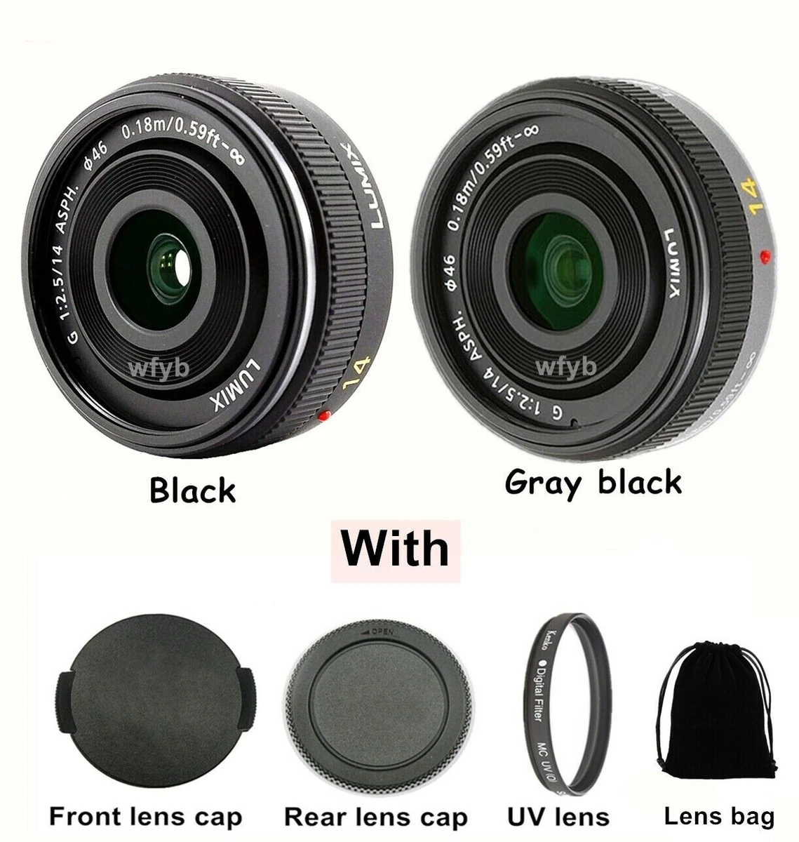lumix g mount