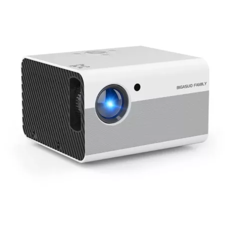 BIGASUO Native 1080P Mini B-509 Projector W/100" Screen Hifi Stereo Sound 