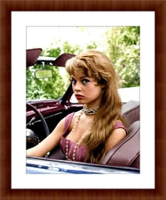 Brigitte Bardot 8.5 x 11 Color Unframed Collectable Photograph