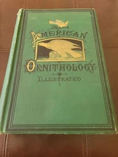 American Ornithology Natural History Birds Of The United States Porter & Coates 