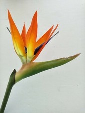 Large Artificial bird of paradise stem tropical. Silk flower arrangements ORANGE