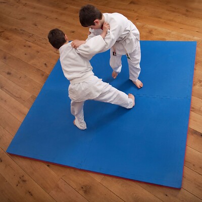 Martial Arts Floor Mats 20mm 40mm Thick Karate Judo Kick Boxing Gym MMA  UK