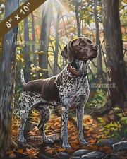 German Shorthaired Pointer painting in a sunlit grove 8x10 Print