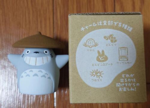 Ghibli Park Charm Omoide Dondokodo Totoro Figurine - Picture 1 of 1