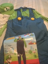 Super Mario Luigi Costume Adult Medium