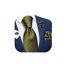 Silk Ties for Men Necktie and Lapel Pin Brooch Set Formal Solid Olive Green