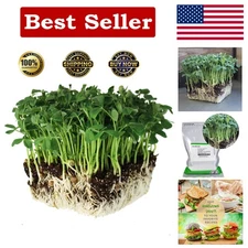 Versatile 5 Lbs Organic Speckled Pea Seeds for Indoor Microgreens Gardening