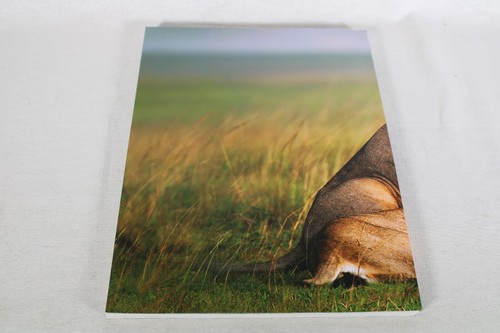 Micato Safaris 50 years on Safari Africa guidebook information - Picture 4 of 4