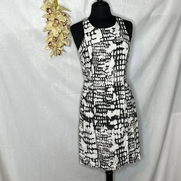 princess polly baby blue dress Jane Black Long Sleeve Dress