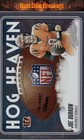 2025 Panini Absolute Joe Burrow Base (RAW)