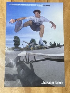 blind jason lee poster double sided world industries plan b video days gonzales