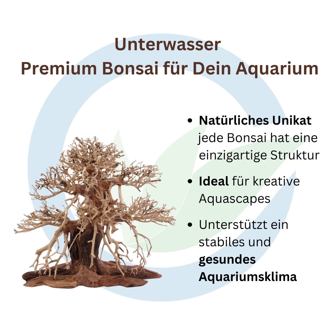 Bonsai Premium albero XL radice legno acquario decorazione aquascaping natura orientale foto 3