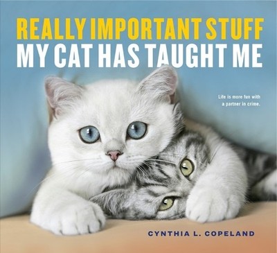 Cynthia L. Copeland Really Important Stuff My Cat Has Taught Me (Taschenbuch)