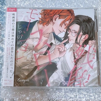Afterimage Slow Motion Drama CD Unopened, Stored in Dark, Ready to Ship