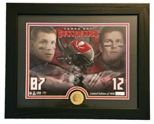 NFL Tampa Bay Buccaneers The Highland Mint  Limited Edition 431 of 5000 16x13