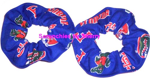 Florida Gators Cabello Scrunchie Corbata Cola de Caballo NCAA College Scrunchies por Sherry NUEVO - Imagen 14 de 21