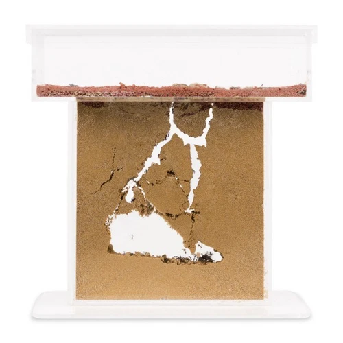 Sand Ant Farm T (Anthill, Formicarium, Educational, Ants)