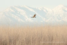 Landscape photography print photo nature wall decor