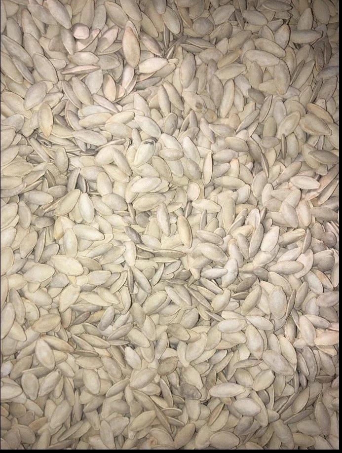 PUMPKIN SEEDS IN SHELL ROASTED SALTED Box 20 Pounds Always Fresh Guarantee👍 - Image 2 of 4