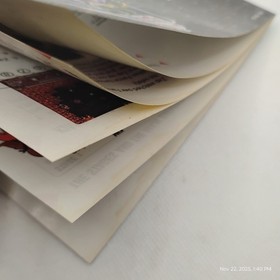 Conquest Of The Crystal Palace NES Game Manual & Sleeve Authentic Very Clean 