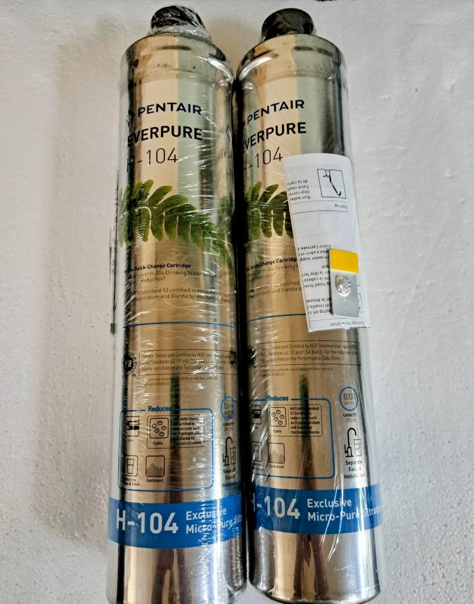 Las mejores ofertas en Filtros de Agua Pentair Carbono/Carbón | eBay