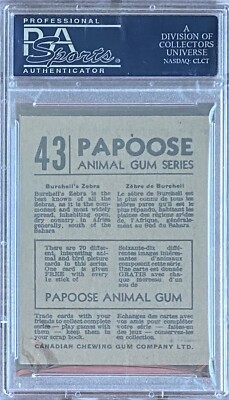 1935 V255 Papoose Animal Gum #43 BURCHELL'S ZEBRA PSA 6 EX-MT | eBay