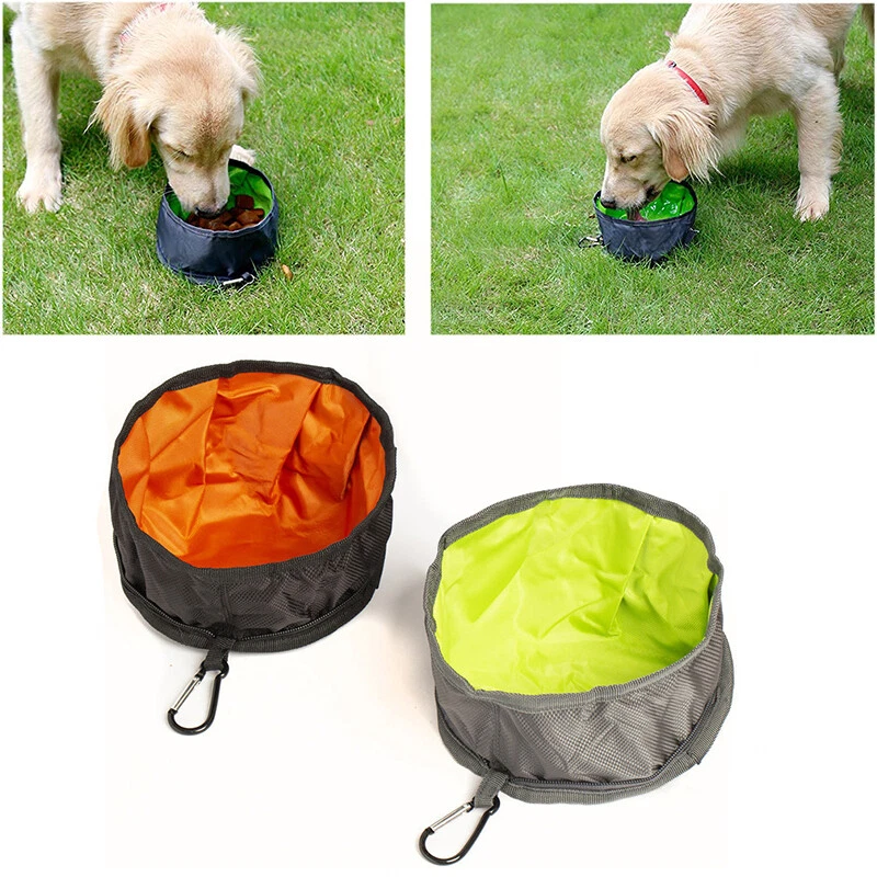 Camping top dog bowl