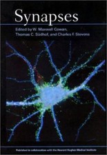 Synapses by 
