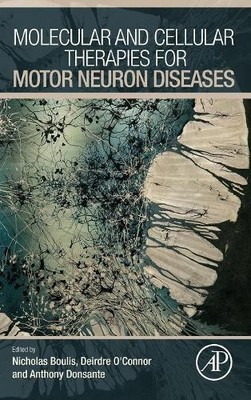 Molecular and Cellular Therapies for Motor Neuron Diseases - 9780128022573