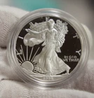 1996 P US Proof Silver Eagle $1 Nice Coin Original Capsule
