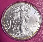 2020 American Eagle - $1 - 1 OZ. Silver Coin - .999 Silver - Toned - Capsuled