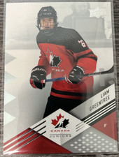 2024 Team Canada Juniors Liam Greentree - Los Angeles Kings #24 base