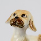 Vintage Bone China Puppy Figurine 2.25" — photo 5