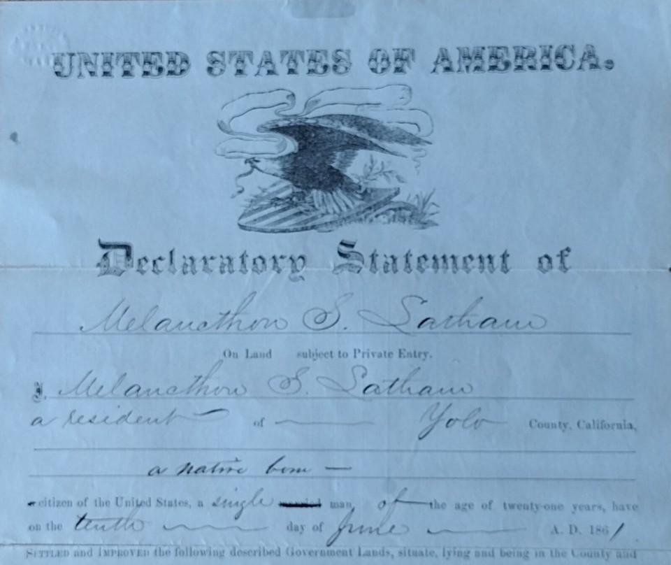 1861 DECLARATORY STATEMENT SAM LYTLE YOLO COUNTY CA DOCUMENT eBay