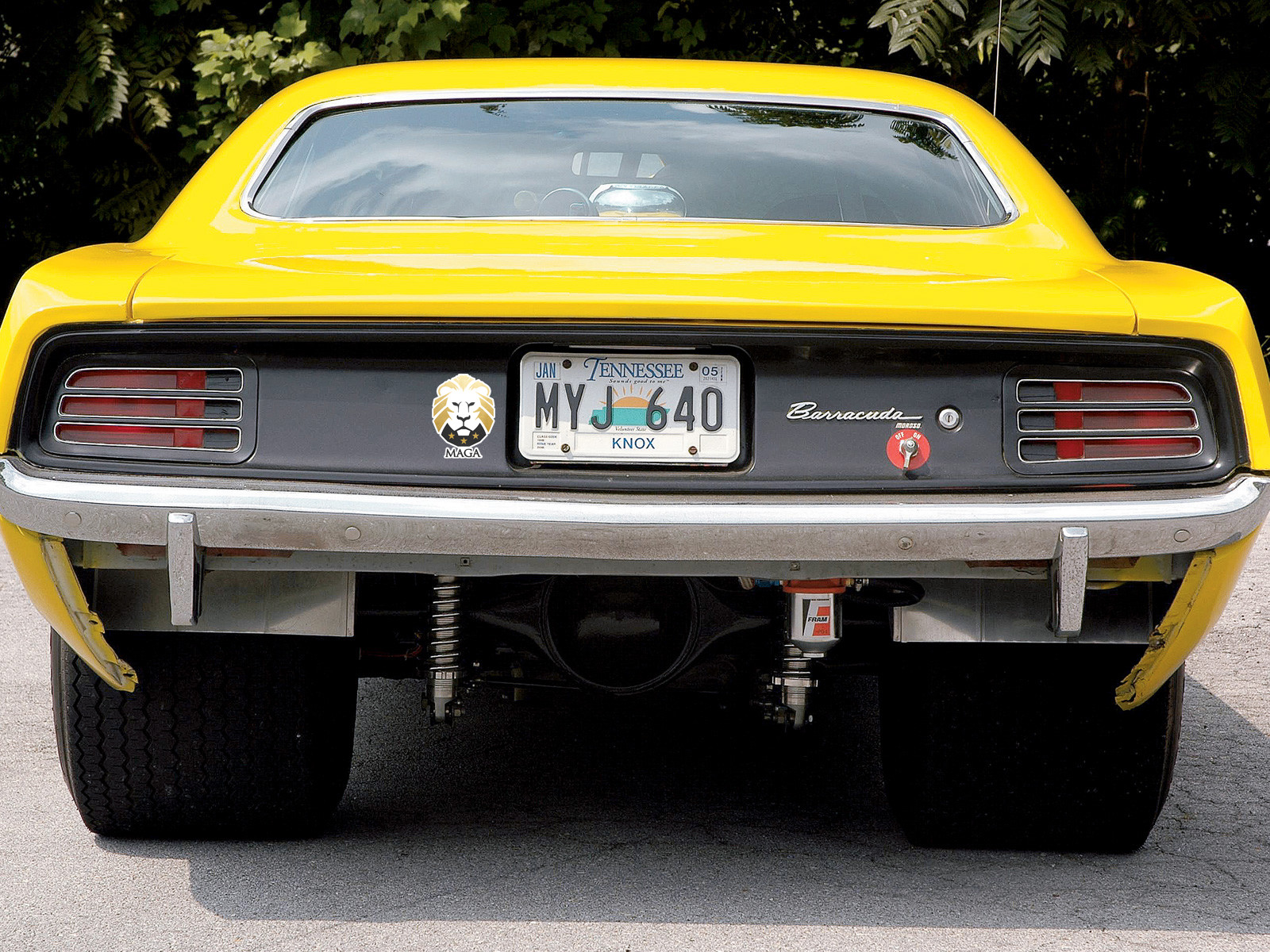 TRUMP 2024 Political Holographic Sticker Riding Lion In Front Of - Foto 8