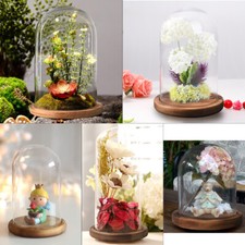 Glass Dome Display Bell Jar Decorative Clear Glass Dome Display Case One Size US
