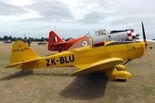 A-1 Special Andrews A1 Airplane Mahogany Kiln Wood Model Large New