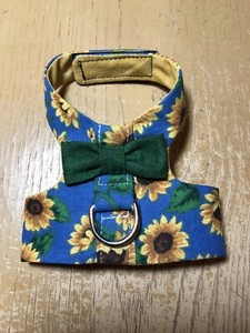 sunflower dog harness